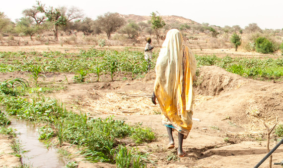 Back of Sudanese woman walking in a farm