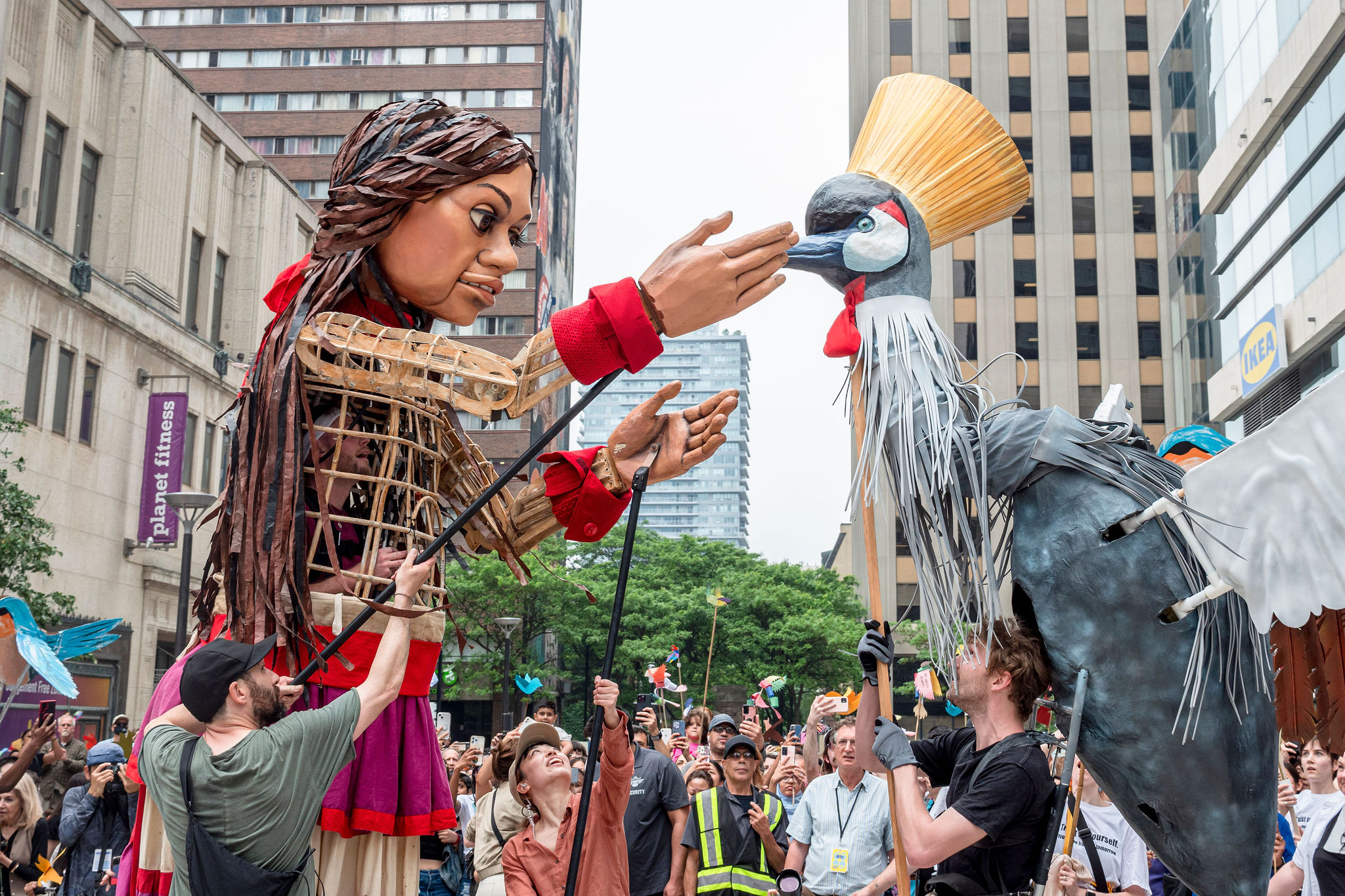 Puppeteers from Clay and Paper Theatre animating a massive crested crane puppet to interact with Amal in downtown Toronto amidst a large crowd.